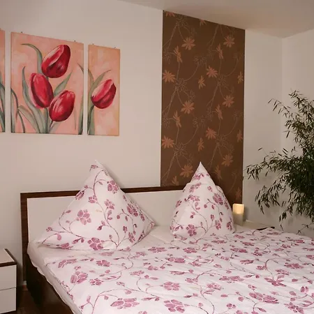 Apartment Zum Alten Zollhaus *